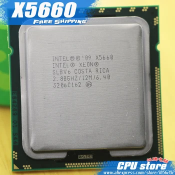 Intel Xeon X5660 procesador de la CPU /2.8 GHz /LGA1366/12 mb de Caché L3/Six Core/ CPU del servidor de Envío Libre de la pieza ,hay, vender X5650